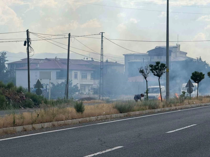 Iğdır'da yaşlı kadın uluslararası yolun ayırıcı kısmındaki otları ateşe verdi