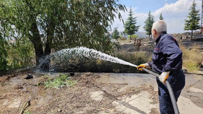 Tatvan'da çıkan yangında 50 dönümlük tarımsal alan yandı