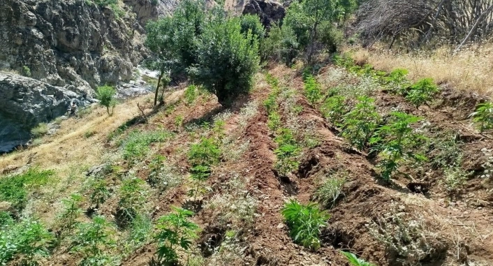 Bingöl'de uyuşturucu operasyonu