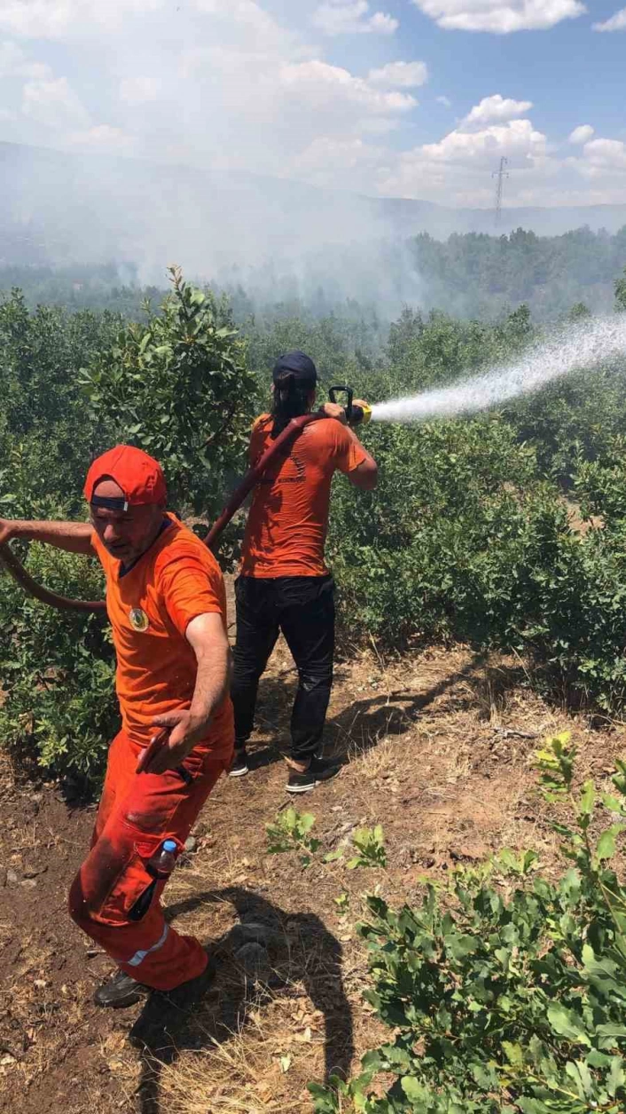 Bingöl'deki orman yangını kontrol altına alındı