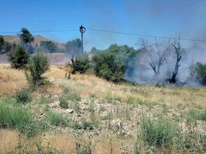 Keban'da korkutan yangın: Onlarca dönümlük alan yandı