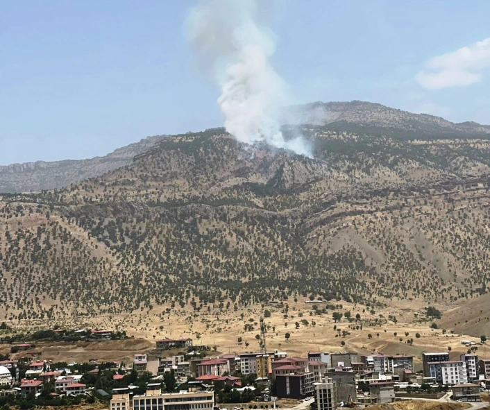 Hakkari'de orman yangını