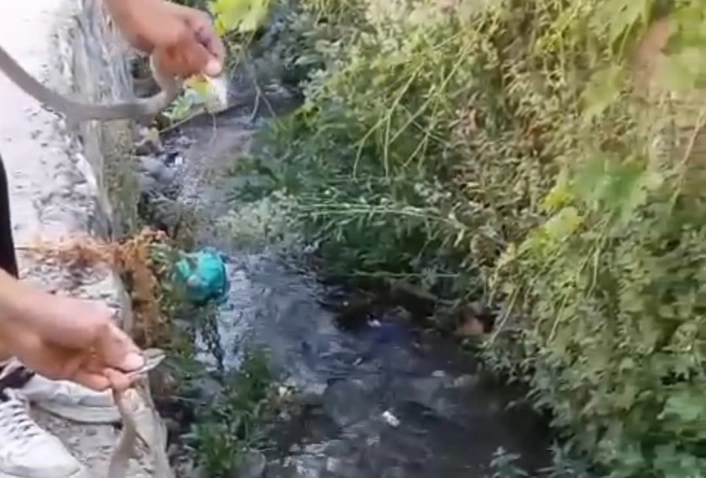 Hakkari'de toprak evin tavanına yuva yapan yılanlar doğaya salındı