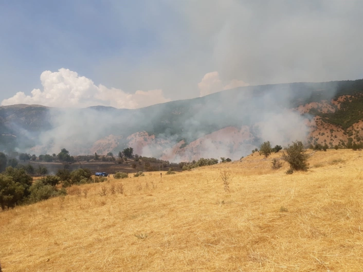Tunceli'de çıkan yangın büyük ölçüde söndürüldü