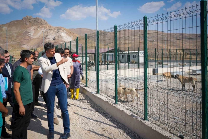 Vali Çelik: ‘Sokak hayvanları için güvenli, sağlıklı yaşam alanları oluşturuyoruz’