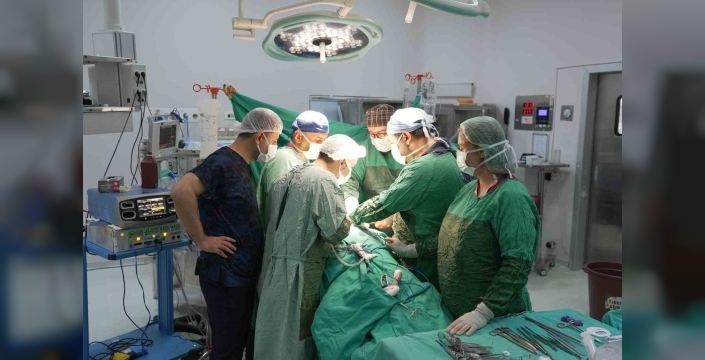 3 santimetrelik böbrek tümörü parsiyel nefrektomi ile çıkartıldı