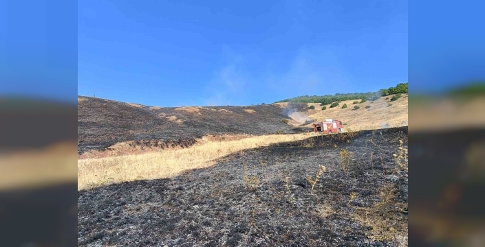 Aşkale Güneyçam Köyü’nde anız yangını: 100 dönüm alan kül oldu