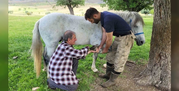 Kemaliye’nin son nalbant ustası yarım asırdır mesleğini sürdürüyor