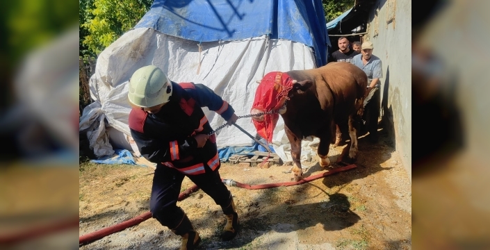Malatya’da korkutan ahır yangını