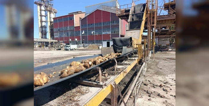 Malatya Şeker Fabrikası’nda 62 bin ton şeker üretimi hedefleniyor