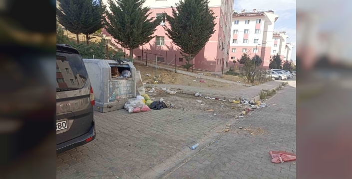 Tuşba’da yol ve çöp sorunu vatandaşları bıktırdı