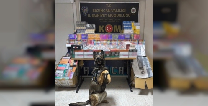 Erzincan’da dedektör köpeği hera, 11 bin 600 kaçak ürünü yakalattı
