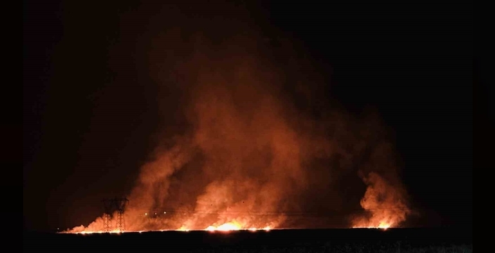 Hakkari’de kuş cenneti Nehil Sazlığı’ndaki yangın köyleri tehdit ediyor
