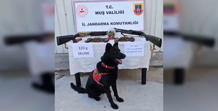 Varto'da uyuşturucu ve silah operasyonu