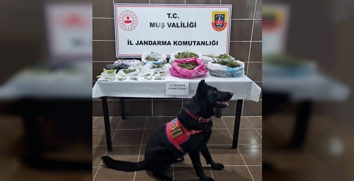 Malazgirt'te uyuşturucu operasyonu: 1 gözaltı