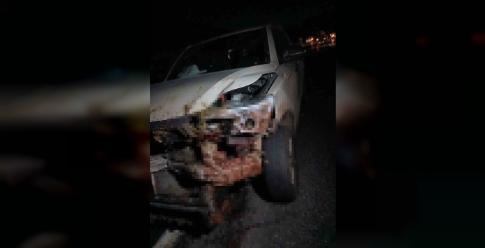 Elazığ’da kamyonet sürüye çarptı: 30 küçükbaş hayvan telef oldu