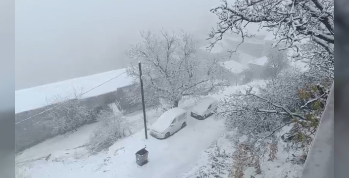 Van’ın Bahçesaray ilçesinde kar etkili oldu