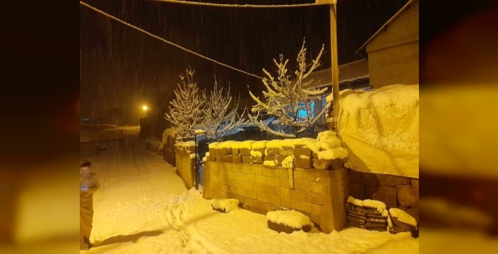 Ahlat’ta Kış Başladı: Yüksek Köyler Beyaza Büründü!