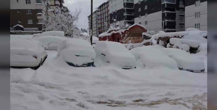 Bitlis’te arabalar ve tek katlı evler kara gömüldü