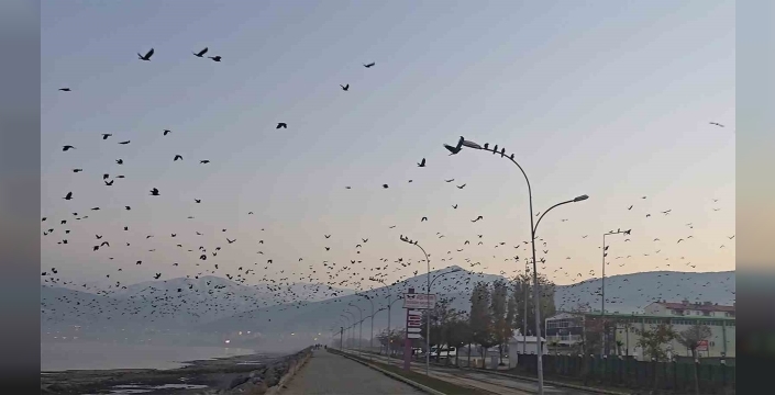 Tatvan sahilinde gökyüzünde sıra dışı manzara