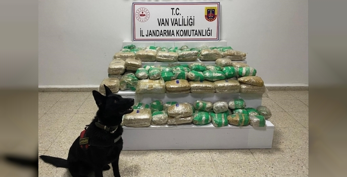 Van’da 51 kilo skunk ele geçirildi