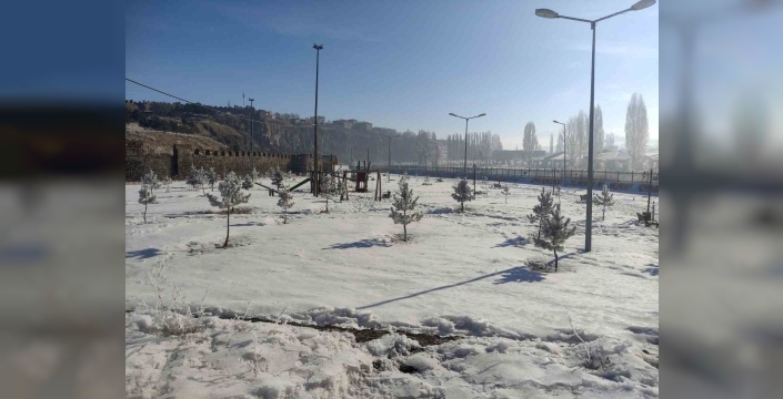 Ardahan’da Sibirya soğukları hayatı olumsuz etkiliyor