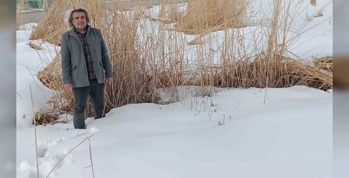 Sulak alanlar için hayati çağrı