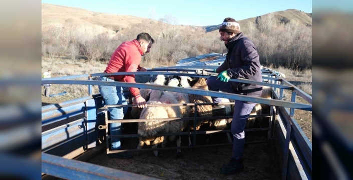 Erzincan’da besiciler 8 aylık göçe başladı