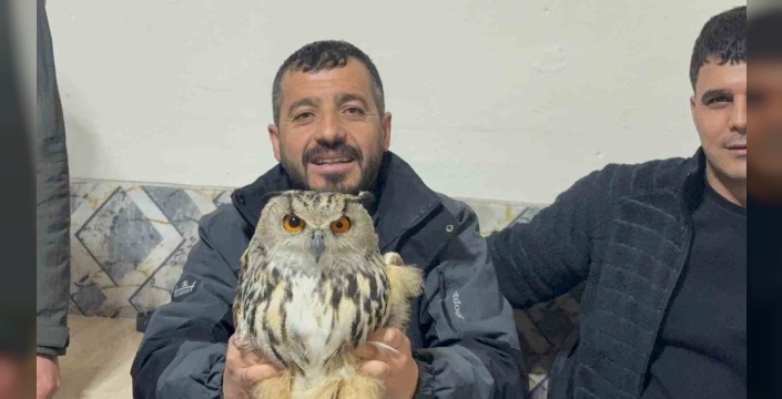 Kars’ta yaralı puhuya şefkat eli
