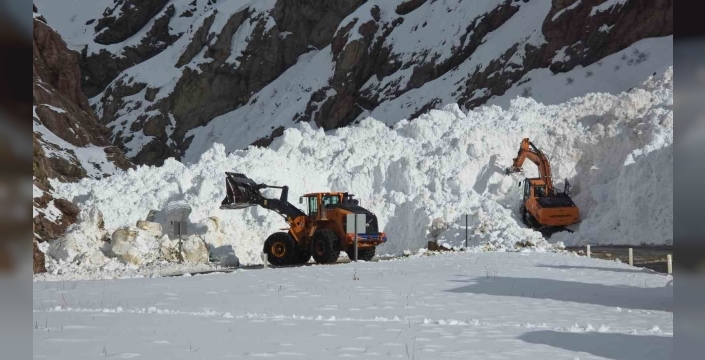 Van-Hakkari kara yolunda çığ sonrası çalışmalar sürüyor