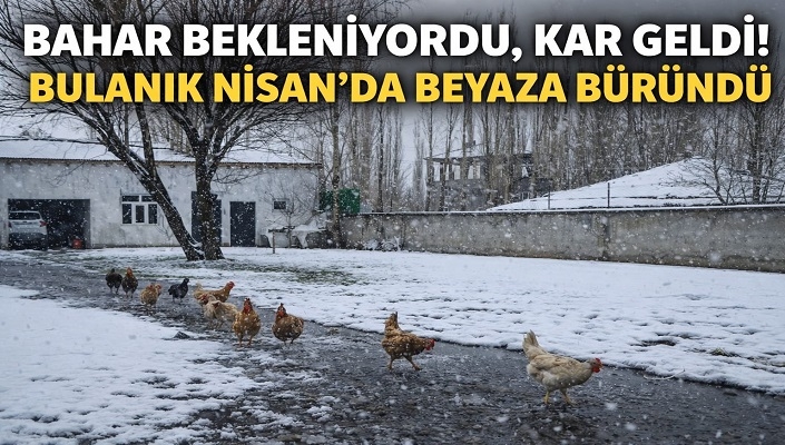 Bahar bekleniyordu, kar geldi! Bulanık nisan’da beyaza büründü