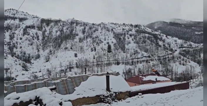 Bahar yerini kışa bıraktı: Erzincan Refahiye’de kar yağışı etkili oldu