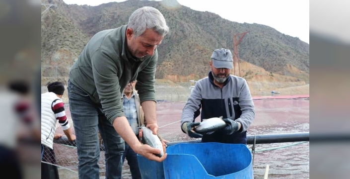 Denizi olmayan Erzurum’da yılda 300 tona yakın balık üretiyorlar