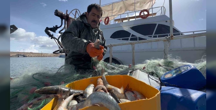 Van Gölü’nde inci kefali için av yasağı: Kaçak avlanmanın cezası 16 bin TL