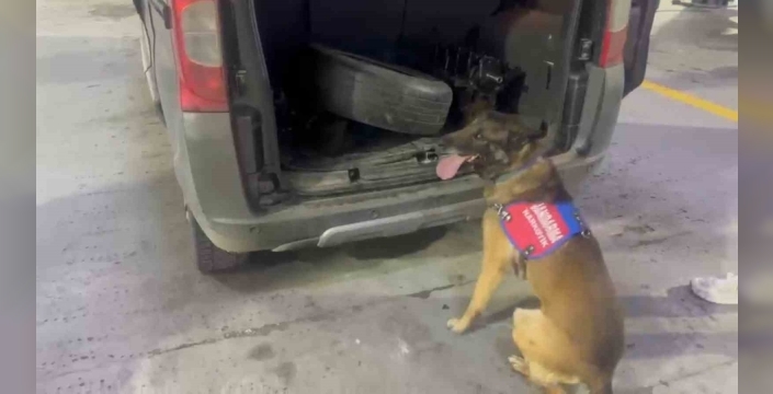 Bagaj ve kaputa gizlenen uyuşturucuyu narkotik köpeği ‘Ayar’ buldu
