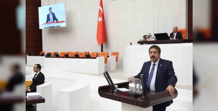 Başıboş sokak köpekleri için Erzurum modeli önerisi