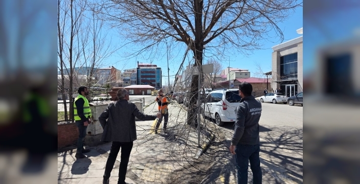 Belediye ekiplerinden ağaç budama çalışması