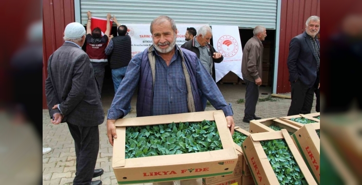 Bingöl’de 330 bin sebze fidesi üreticilere dağıtıldı