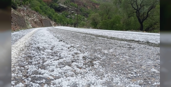 Çayırlı’da dolu yağışı etkili oldu