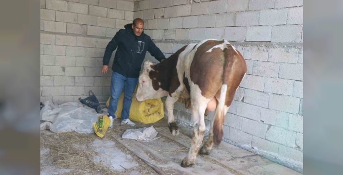 Diyadin’de besicilik geçim kapısı oldu