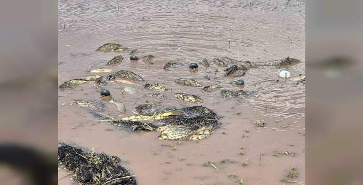 Elazığ’da av yasağı denetimi: 3 bin 90 metre ağ ele geçirildi