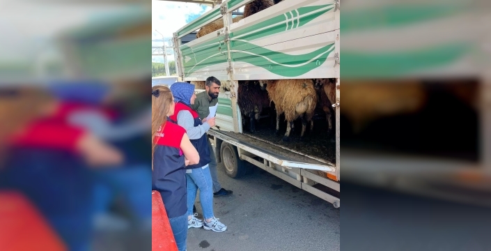 Elazığ’da Kurban Bayramı öncesi denetim