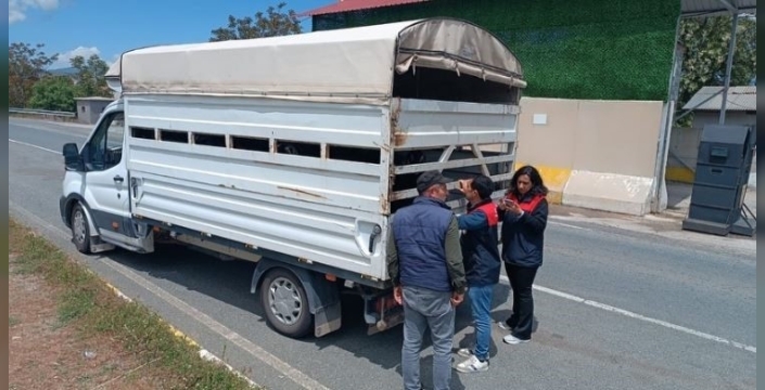 Elazığ’da Kurban Bayramı öncesi hayvan sevklerine sıkı denetim