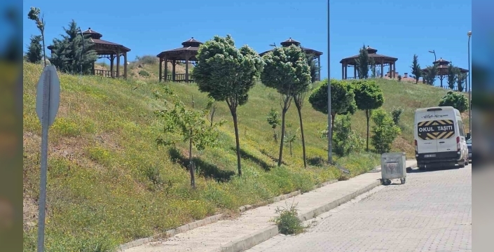 Elazığ’da şiddetli rüzgar etkili oldu