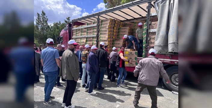 Erzincan’da 220 üreticiye 779 bin 520 sebze fidesi dağıtıldı