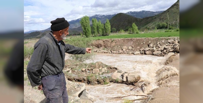 Erzurum’da boz ayı Oltu Çayı’nda telef oldu