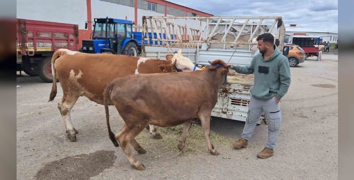 Erzurum’da kurban pazarı hareketlendi