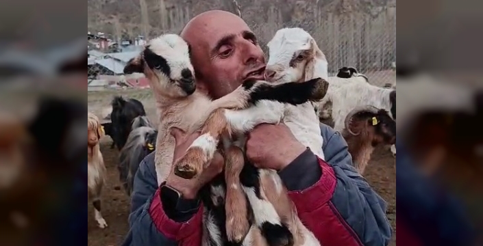 Fenomen çobanın oğlak sevgisi yürekleri ısıttı