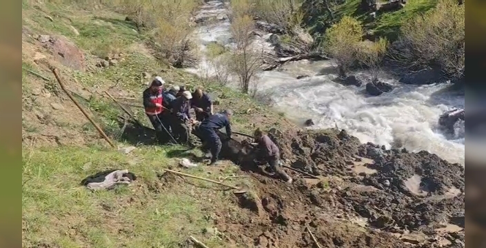 Hakkari’de bataklığa saplanan inek kurtarıldı