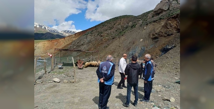 Hakkari’de Kurban pazarı hareketlendi